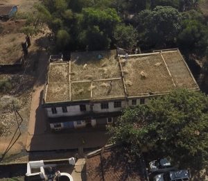 farming-on-roof3_14518460