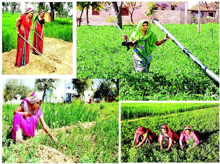 indian-educated-girls-grow-gold-from-farm featured