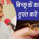 10. Treatment of Scorpion Bite ( Cheap And Best ) By Rajiv Dixit Ji4