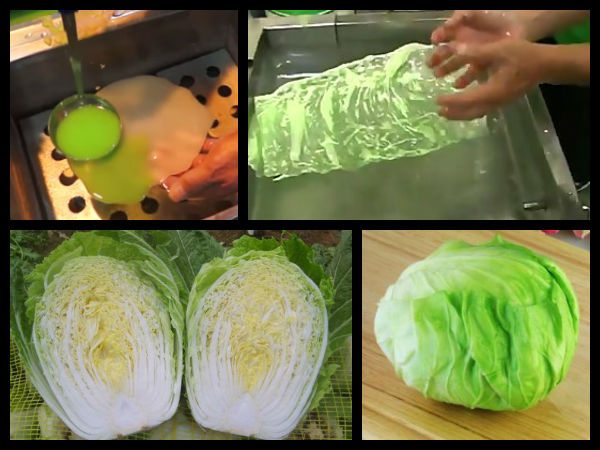 12-1460442455-cabbage