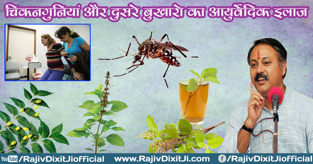 45. Treatment of Chikungunya (Ayurvedic & homeopathic) By Rajiv Dixit
