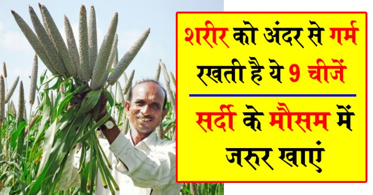 शरीर को अंदर से गर्म रखती है ये 9 चीजें ! सर्दी में मौसम में जरुर खाएं शरीर को अंदर से गर्म रखती है ये 9 चीजें ! सर्दी में मौसम में जरुर खाएं
