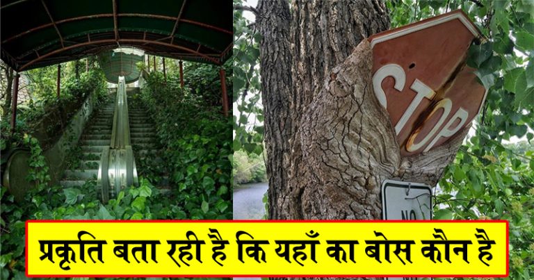 इन 20 तस्वीरे को देखिये ! प्रकृति बता रही है कि यहाँ का बोस कौन है इन 20 तस्वीरे को देखिये ! प्रकृति बता रही है कि यहाँ का बोस कौन है