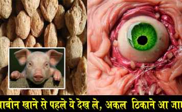 अगर आप भी सोयाबिन खाते है तो आज ही बंद कर दे. जानिए सच्चाई