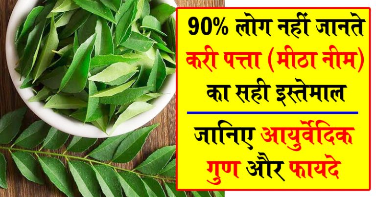 90% लोग नहीं जानते करी पत्ते के इस्तेमाल का सही तरीका ! जानिए इसके आयुर्वेदिक गुण व फायदे 90% लोग नहीं जानते करी पत्ते के इस्तेमाल का सही तरीका ! जानिए इसके आयुर्वेदिक गुण व फायदे