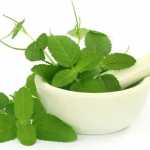 tulsi-face-pack-uses